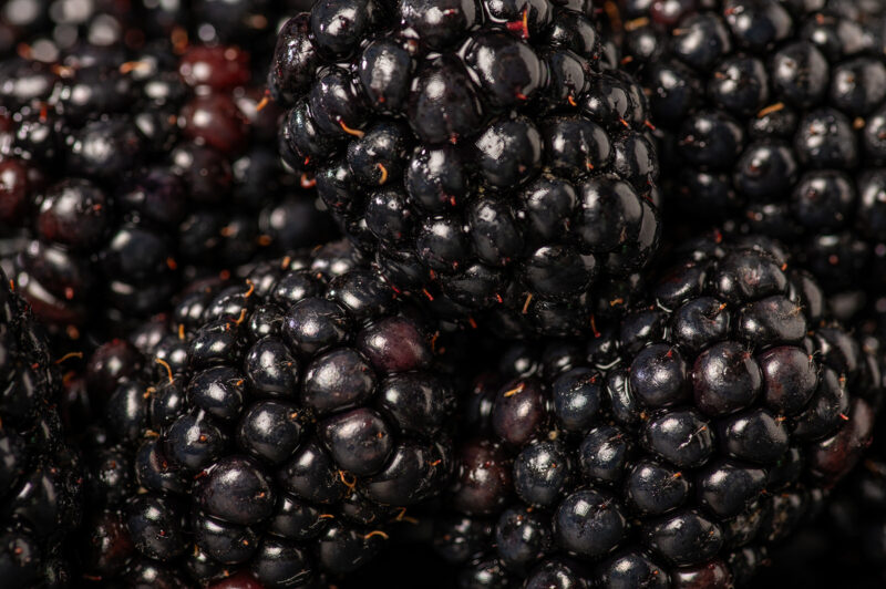 portret Art By Zilte C fotografie