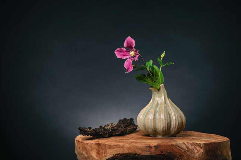 Portret Art By Zilte C fotografie