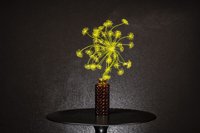 portret Art By Zilte C fotografie