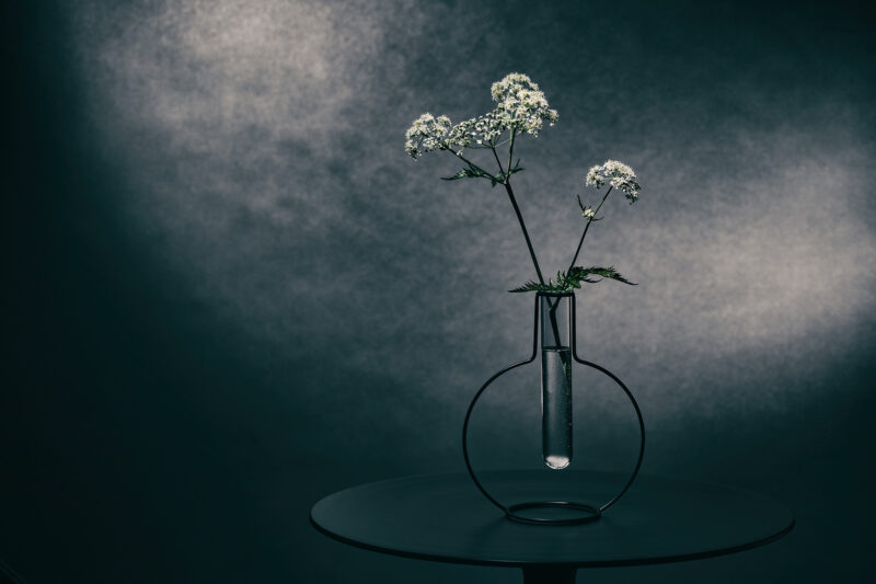 Portret Art By Zilte C fotografie