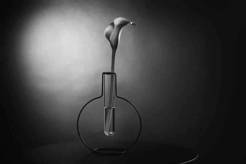 portret Art By Zilte C fotografie