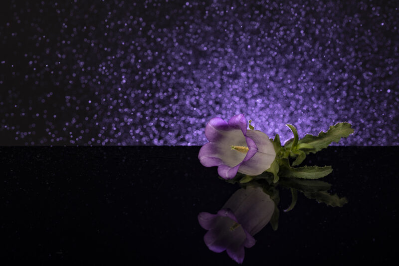 portret Art By Zilte C fotografie