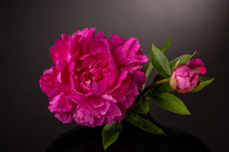 portret Art By Zilte C fotografie