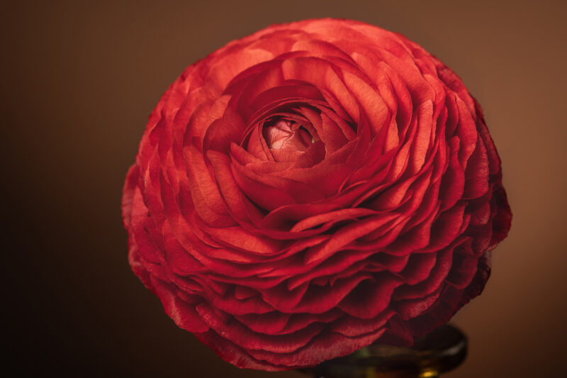 portret Art By Zilte C fotografie