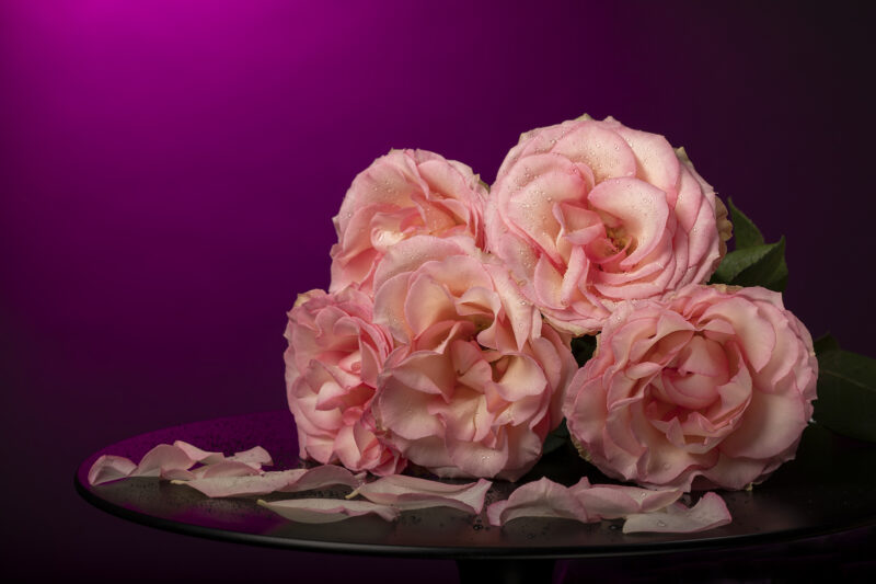 Portret Art By Zilte C fotografie