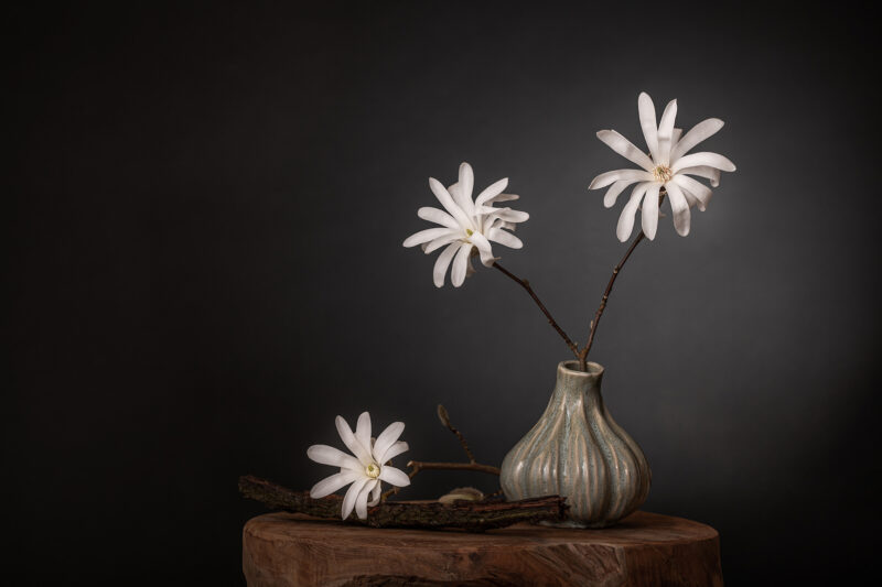 Portret Art By Zilte C fotografie