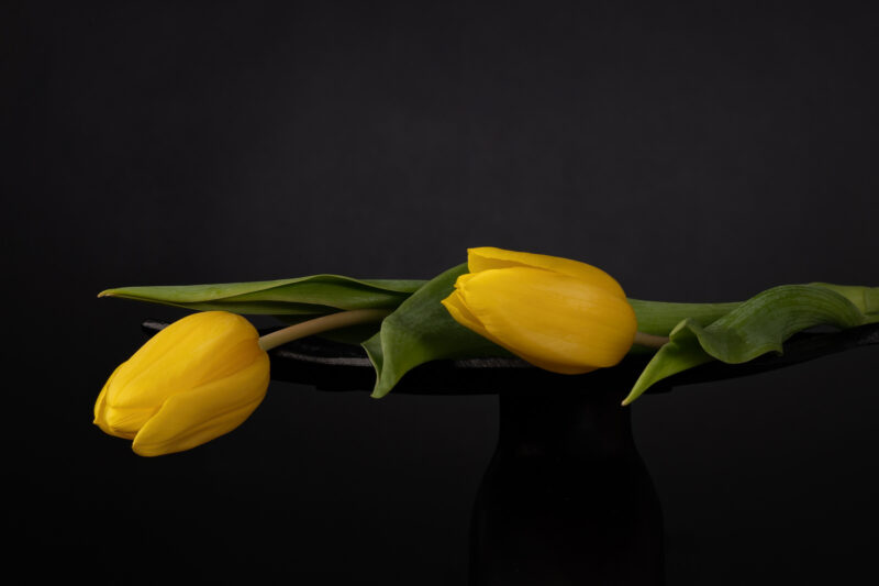 portret Art By Zilte C fotografie