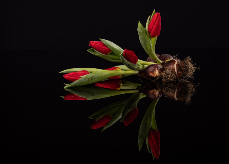 portret Art By Zilte C fotografie