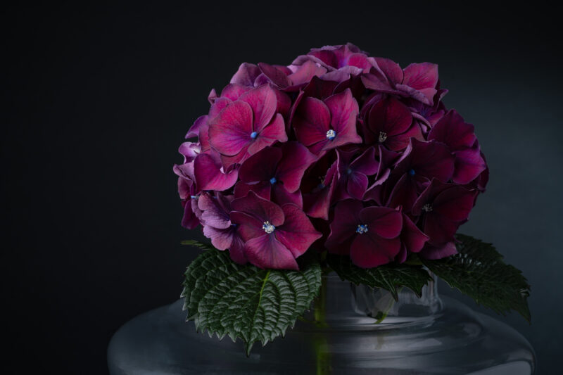 portret Art By Zilte C fotografie