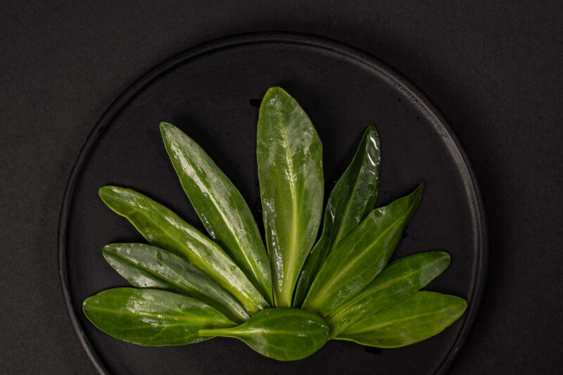 portret Art By Zilte C fotografie