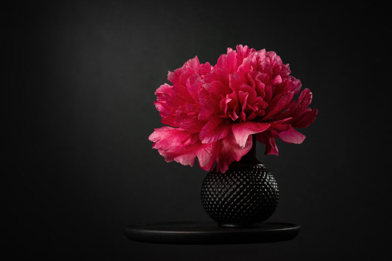 portret Art By Zilte C fotografie