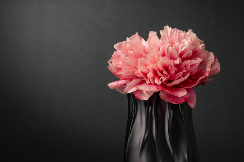 portret Art By Zilte C fotografie