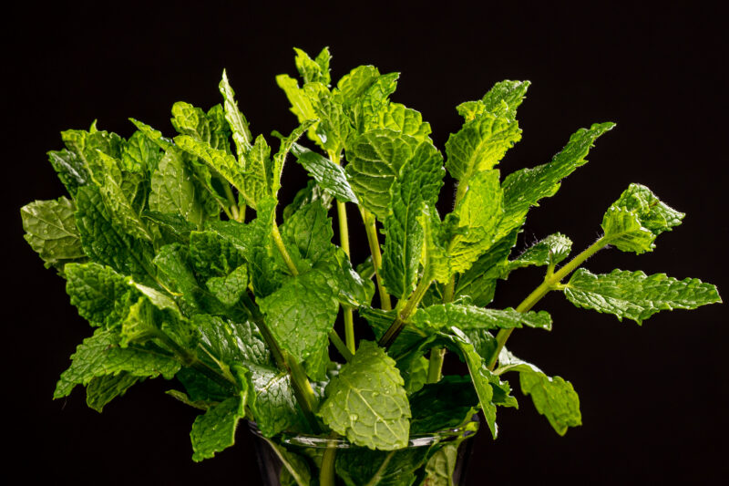 portret Art By Zilte C fotografie