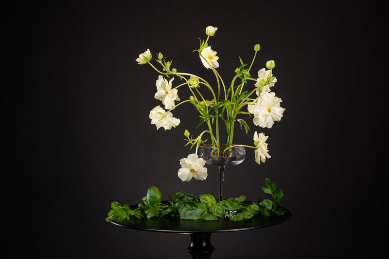 portret Art By Zilte C fotografie