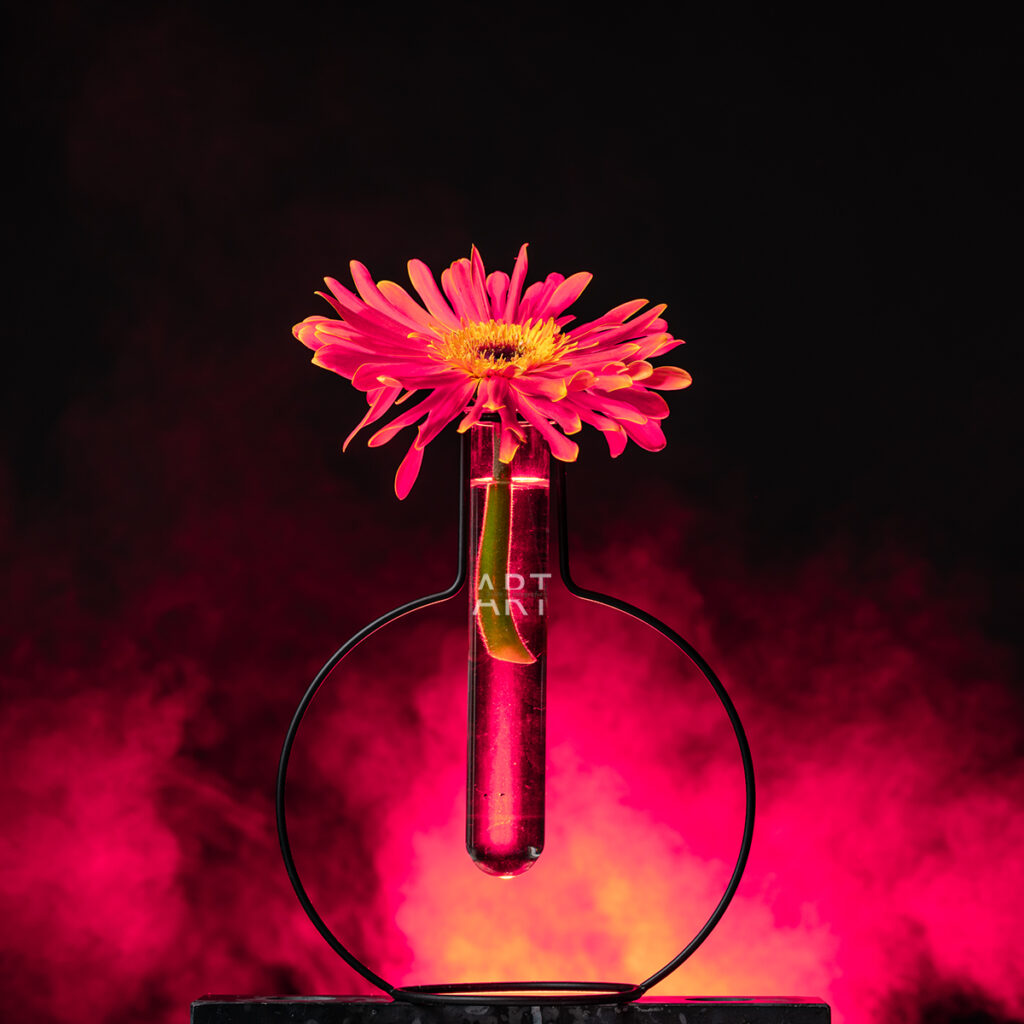flowerhero