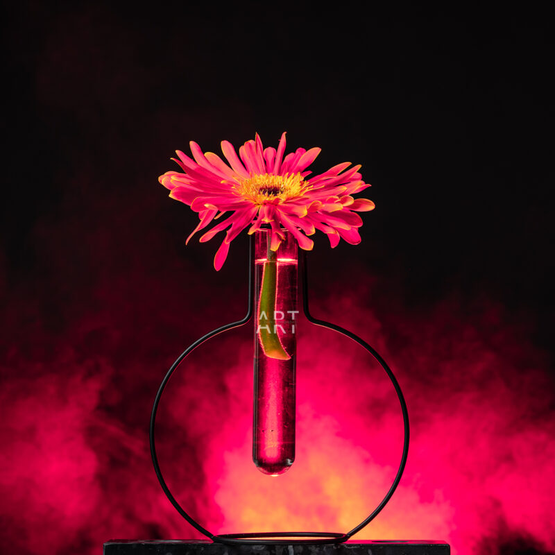 portret Art By Zilte C fotografie